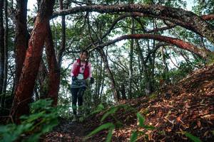 BIB: 
                            <button type="button" onclick="openModal(26345089)" class="btn btn-primary btn-sm float-right btn-popup" data-toggle="modal" data-target=".modal-high-quality">
                        <i class="fas fa-shopping-cart"></i> Add to Cart
                    </button>
                                            <button type="button" onclick="isThisMe(26345089, true)" class="btn btn-success btn-sm float-right btn-popup btn-isme hidden" data-toggle="tooltip" data-placement="bottom" title="นี่คือรูปของคุณใช่ไหม คลิกที่นี่เพื่อเอาเข้าอัลบั้ม">
                        <i class="fas fa-plus"></i> Add to album
                    </button>
                    <button type="button" onclick="isThisMe(26345089, false)" class="btn btn-warning btn-sm float-right btn-popup btn-isnotme hidden">
                        <i class="fas fa-ban"></i> Remove from album
                    </button>